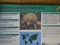 2015-04-18_Zoo_Leipzig