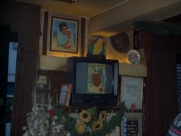 2006-08-18_Resi_Waldlust