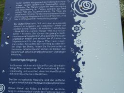 2010-07-18_Betriebsausflug_Landesgartenschau_Bad_Nauheim