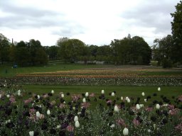 2010-07-18_Betriebsausflug_Landesgartenschau_Bad_Nauheim