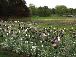 2010-07-18_Betriebsausflug_Landesgartenschau_Bad_Nauheim
