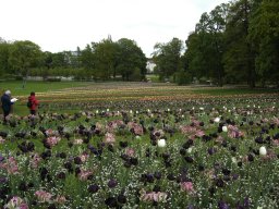 2010-07-18_Betriebsausflug_Landesgartenschau_Bad_Nauheim