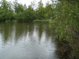 2010-07-18_Betriebsausflug_Landesgartenschau_Bad_Nauheim
