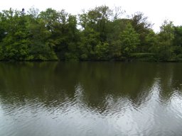 2010-07-18_Betriebsausflug_Landesgartenschau_Bad_Nauheim