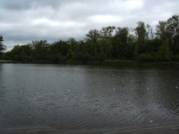 2010-07-18_Betriebsausflug_Landesgartenschau_Bad_Nauheim