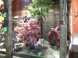 2010-07-18_Betriebsausflug_Landesgartenschau_Bad_Nauheim