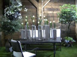 2010-07-18_Betriebsausflug_Landesgartenschau_Bad_Nauheim