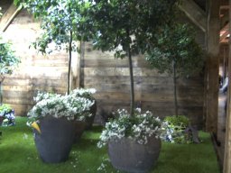 2010-07-18_Betriebsausflug_Landesgartenschau_Bad_Nauheim