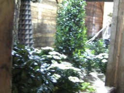 2010-07-18_Betriebsausflug_Landesgartenschau_Bad_Nauheim