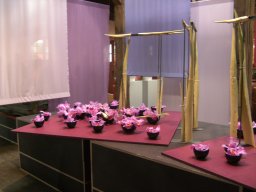 2010-07-18_Betriebsausflug_Landesgartenschau_Bad_Nauheim