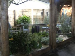 2010-07-18_Betriebsausflug_Landesgartenschau_Bad_Nauheim