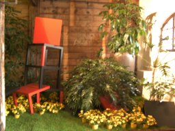 2010-07-18_Betriebsausflug_Landesgartenschau_Bad_Nauheim