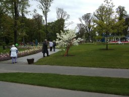 2010-07-18_Betriebsausflug_Landesgartenschau_Bad_Nauheim