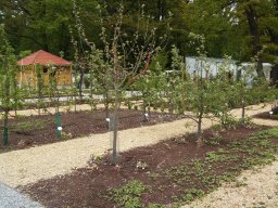 2010-07-18_Betriebsausflug_Landesgartenschau_Bad_Nauheim