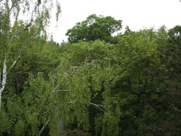 2010-07-18_Betriebsausflug_Landesgartenschau_Bad_Nauheim