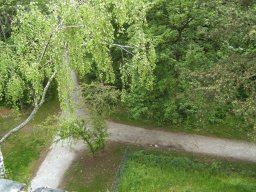 2010-07-18_Betriebsausflug_Landesgartenschau_Bad_Nauheim