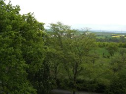 2010-07-18_Betriebsausflug_Landesgartenschau_Bad_Nauheim