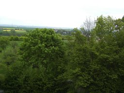 2010-07-18_Betriebsausflug_Landesgartenschau_Bad_Nauheim