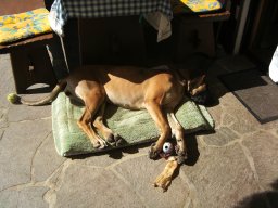 2010-09-20-24_Bayern_Georg