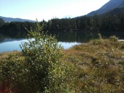 2010-09-20-24_Bayern_Georg