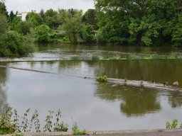 2014-05-28_Betriebsausflug_Limburg