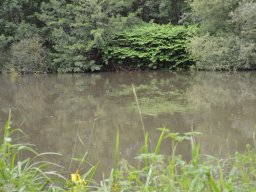 2014-05-28_Betriebsausflug_Limburg