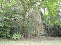 2014-05-28_Betriebsausflug_Limburg