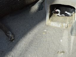 2015-04-18_Zoo_Leipzig