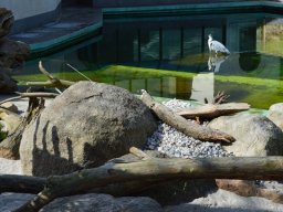 2015-04-18_Zoo_Leipzig