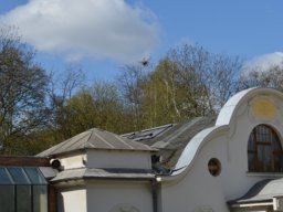 2015-04-18_Zoo_Leipzig