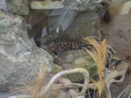 2015-04-18_Zoo_Leipzig