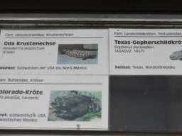 2015-04-18_Zoo_Leipzig