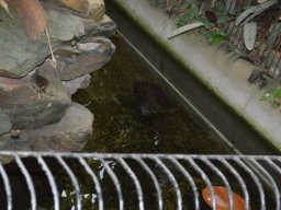 2015-04-18_Zoo_Leipzig