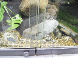 2015-04-18_Zoo_Leipzig