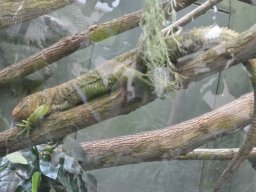 2015-04-18_Zoo_Leipzig