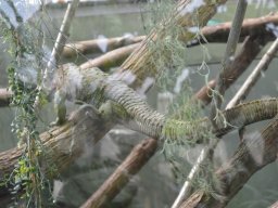 2015-04-18_Zoo_Leipzig