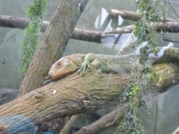 2015-04-18_Zoo_Leipzig