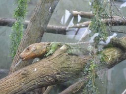 2015-04-18_Zoo_Leipzig