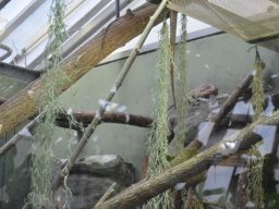 2015-04-18_Zoo_Leipzig