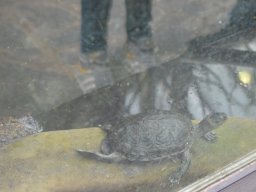 2015-04-18_Zoo_Leipzig