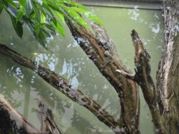 2015-04-18_Zoo_Leipzig