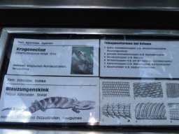 2015-04-18_Zoo_Leipzig