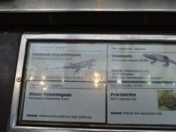 2015-04-18_Zoo_Leipzig