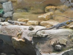 2015-04-18_Zoo_Leipzig