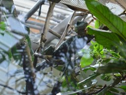 2015-04-18_Zoo_Leipzig