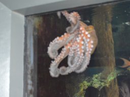 2015-04-18_Zoo_Leipzig