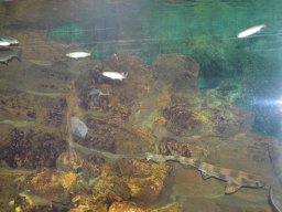 2015-04-18_Zoo_Leipzig