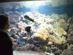 2015-04-18_Zoo_Leipzig