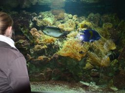 2015-04-18_Zoo_Leipzig