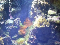 2015-04-18_Zoo_Leipzig